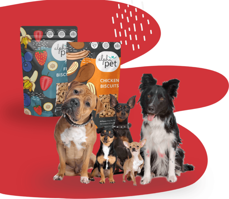The AlphaPet – Nurturing Bonds, Enhancing Lives – One Wag at a Time